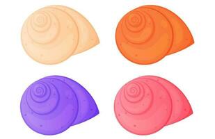 Colorful sea shell set isolated on white background. vector