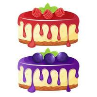 Raspberry and blueberry cheesecake decorated with berries. Sweet pastries vector illustration.