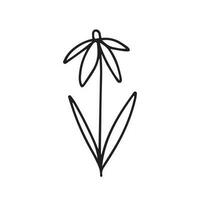 Vector daisy flower clipart. Hand drawn doodle little flower isolated