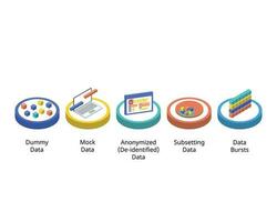 Software Data testing type such as mock data, dummy data, anonymized, subsetted and bursts vector