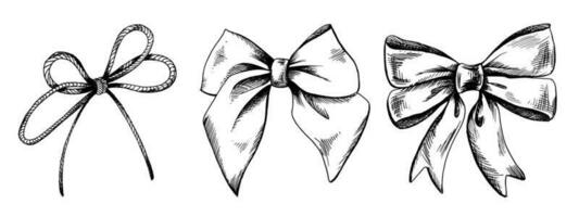 Satin bows and rope bow, hand-drawn illustration in black ink, graphics. eps vector. Set of isolated objects vector