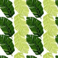 Abstract exotic plant seamless pattern. Botanical leaves wallpaper. Tropical pattern backdrop with palm leaf and floral motifs. vector