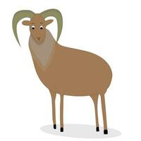 Urial animal character vector