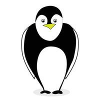 linda pingüino vector. pingüino aislado y emperador pingüino ilustración vector