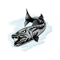 vector ilustración barracuda