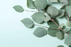 Natural eucalyptus leaves on mint pastel green background. Flat lay floral composition, top view, copy space, generate ai photo