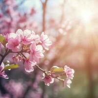 primavera frontera o antecedentes Arte con rosado florecer. hermosa naturaleza escena con floreciente árbol y Dom llamarada , generar ai foto
