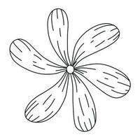 Single blooming flower. Spring wildflower. Hand drawn doodle  Black silhouette on white background. vector