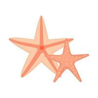 Starfish underwater animal on white background vector