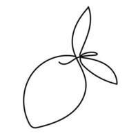 Lemon citrus tropical fruit illustration line art style vector