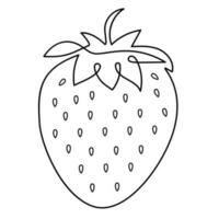 Strawberry tropical berry food illustration line art style vector