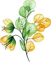 watercolor drawing. bouquet, autumn composition of transparent flowers and eucalyptus leaves. yellow and green leaves vector