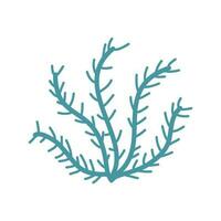 seaweed corals shells vector