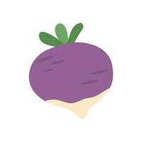 turnip or radish vegetable illustration vector