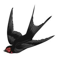 Songbird Swallow With Black Tail Wild Bird Vector Illustration