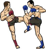 muay thai sparring fighting red and blue boxer vector