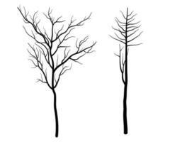 Set of Deciduous Bare Tree Silhouette vector