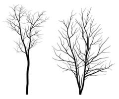 Set of Deciduous Bare Tree Silhouette vector