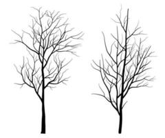 Set of Deciduous Bare Tree Silhouette vector