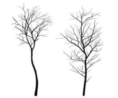 Set of Deciduous Bare Tree Silhouette vector