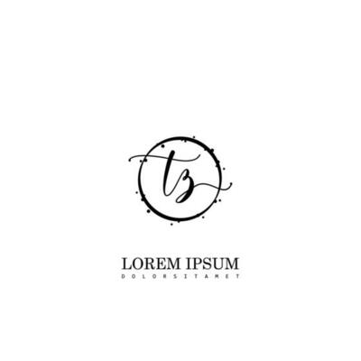 Initial TZ handwriting logo vector