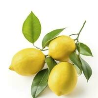 Branch of juicy lemons with leaves isolated on white background, generate ai photo