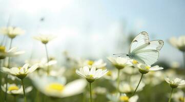 abstract nature spring Background. spring flower and butterfly, generate ai photo