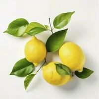 Branch of juicy lemons with leaves isolated on white background, generate ai photo