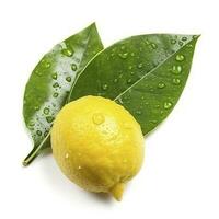 Citrus Lemon leaf with water drops isolated on white background, generate ai photo