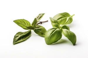 Fresh green organic basil and rosemary leaves isolated on white background. With clipping path, generate ai photo