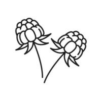 Cloudberry with leaves isolated thin line icon vector