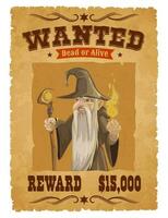 Halloween wanted banner cartoon angry wizard vector