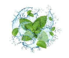 realista agua chapoteo con verde menta hojas vector