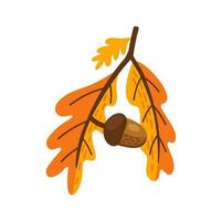 letra un otoño roble árbol rama con bellotas vector