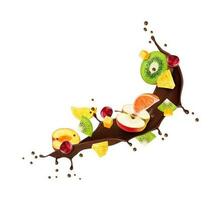 Chocolate milk drink flow splash with ripe fruits vector