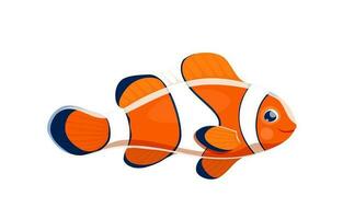 Cartoon clown fish sea animal, colorful creature vector