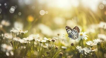 abstract nature spring Background. spring flower and butterfly, generate ai photo