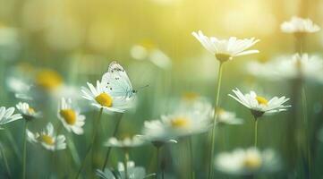 abstract nature spring Background. spring flower and butterfly, generate ai photo