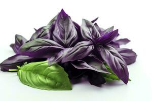 Green basil leaves with Clipping paths, full depth of field. Fresh red basil herb leaves isolated on white background. Purple Dark Opal Basil. Focus stacking, generate ai photo