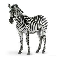 Zebra isolated on white background, generate ai photo