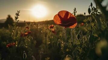 A stunning photo captures the golden hour in a field of radiant red poppies, symbolizing the beauty, resilience, and strength of nature, generate ai