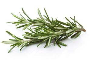 Fresh green organic rosemary leaves and peper isolated on white background, generate ai photo