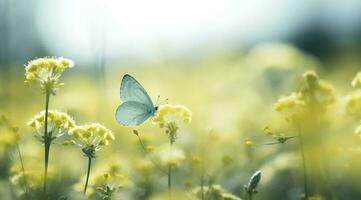 abstract nature spring Background. spring flower and butterfly, generate ai photo