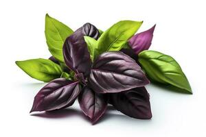 Green basil leaves with Clipping paths, full depth of field. Fresh red basil herb leaves isolated on white background. Purple Dark Opal Basil. Focus stacking, generate ai photo