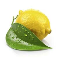 Citrus Lemon leaf with water drops isolated on white background, generate ai photo