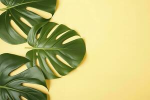 Beautiful tropical palm monstera leaves branch isolated on pastel yellow background, top view, flat lay, overhead above summer beauty blank design concept , generate ai photo