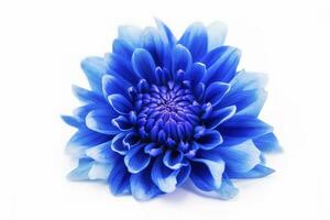 azul flor aislado en blanco fondo, png con transparencia , generar ai foto