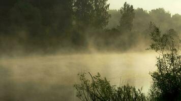 timelapse landschap met ochtendmist in het bosmeer video