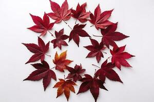 red maple leaves isolated on white background, generate ai photo