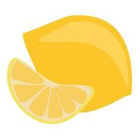 Flat style Vector lemon and slice isolated on white background. Cytrus fruit illustration. Vitamin C and healthy food concept. Design art for package, logo, grocery, Shopping bag. Eco and organic.